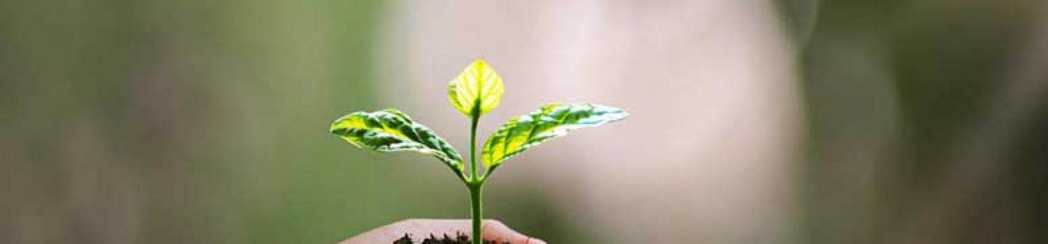 Triết l&yacute; kinh doanh