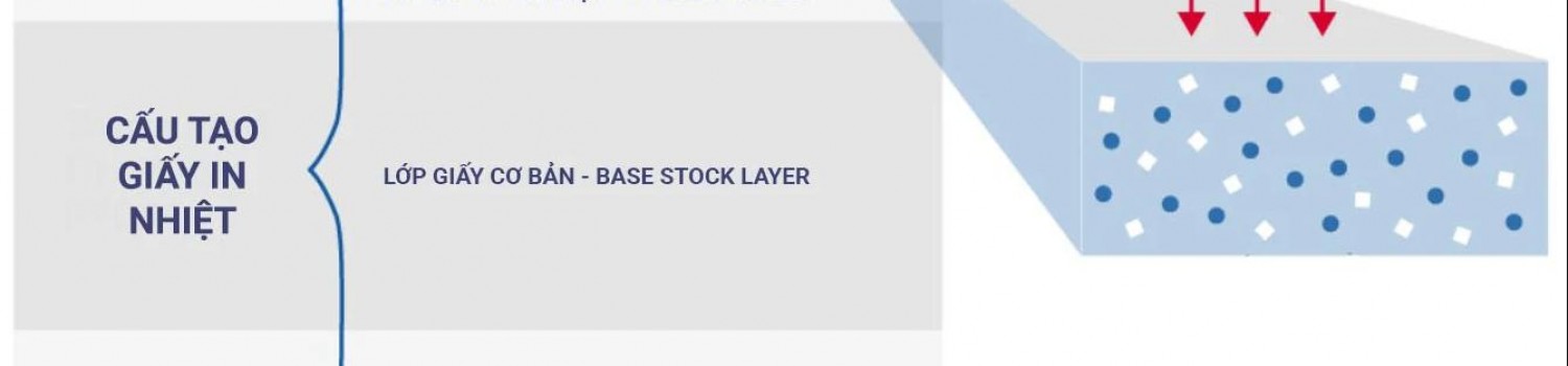 Cấu tạo của giấy in h&oacute;a đơn nhiệt